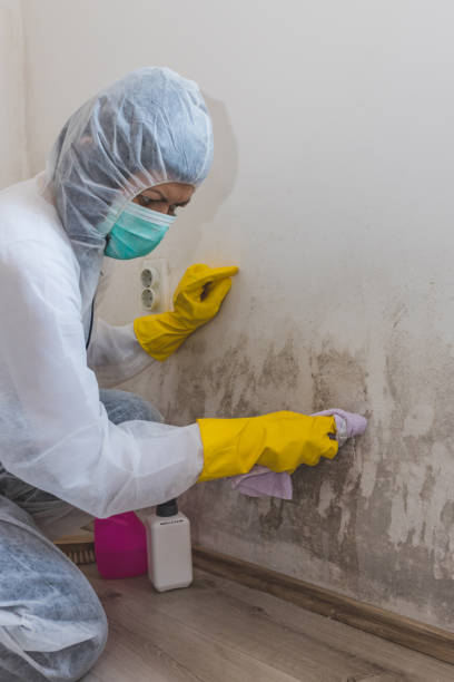 Best Airborne Mold Testing  in Marlboro Meadows, MD
