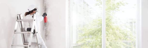 Best Commercial Mold Inspection  in Marlboro Meadows, MD