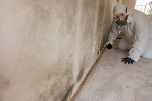 Best Post-Remediation Verification Testing  in Marlboro Meadows, MD