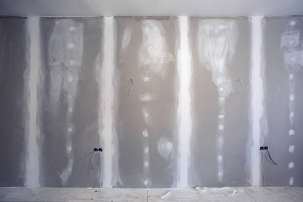 Trusted Marlboro Meadows, MD Mold Removal Experts
