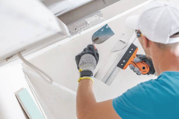 Best Water Damage & Mold Remediation  in Marlboro Meadows, MD